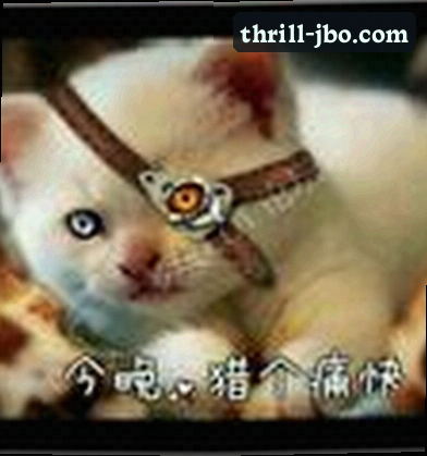 林涛